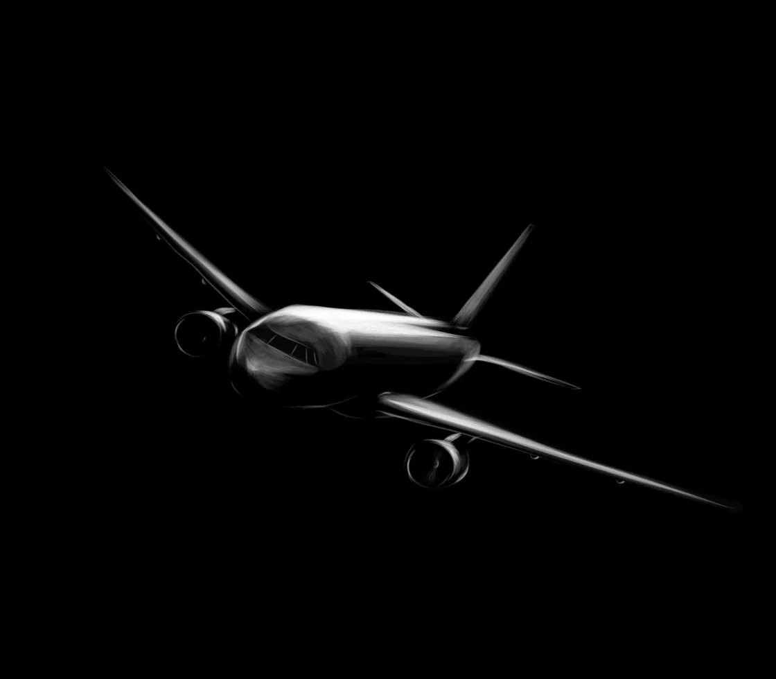 An airliner in flight — aviation catering is one of the markets Forko Green supplies